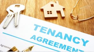 No Rental Lease What Are My Rights