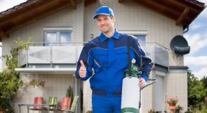 My Apartment Has Bed Bugs What Are My Rights