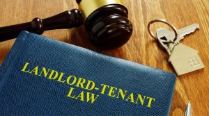 What Are My Rights as a Tenant Without a Lease